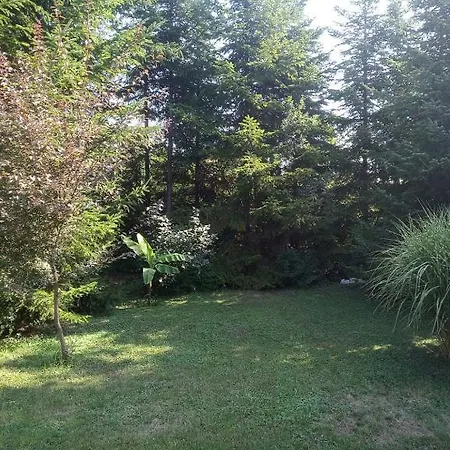 Park