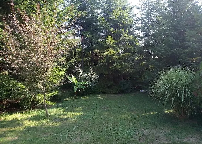 Park Vendeghaz