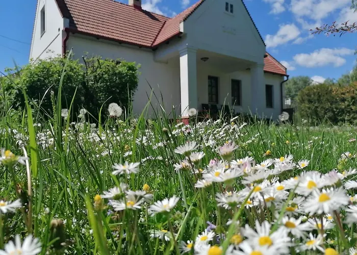 Pensjonat Park Vendeghaz 3*